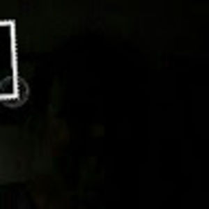 Meet your Posher, Ann